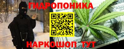 прущие грибы Лесосибирск