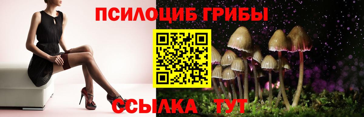 Галлюциногенные грибы Cubensis  Псилоцибиновые грибы мицелий  Вход с VPN  Карталы 